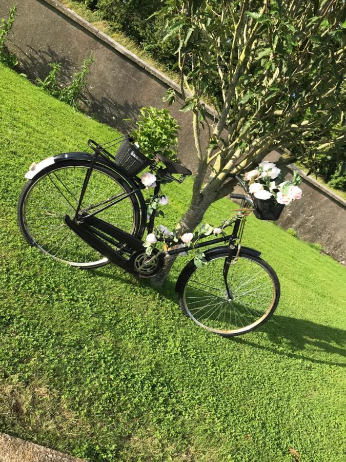 Laithreach Briuin B&B W23E0H9 Maynooth Eksteriør bilde